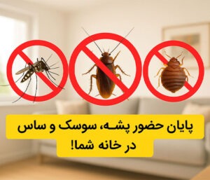 روشهای پیشگیری از ورود حشرات خانگی در تابستان